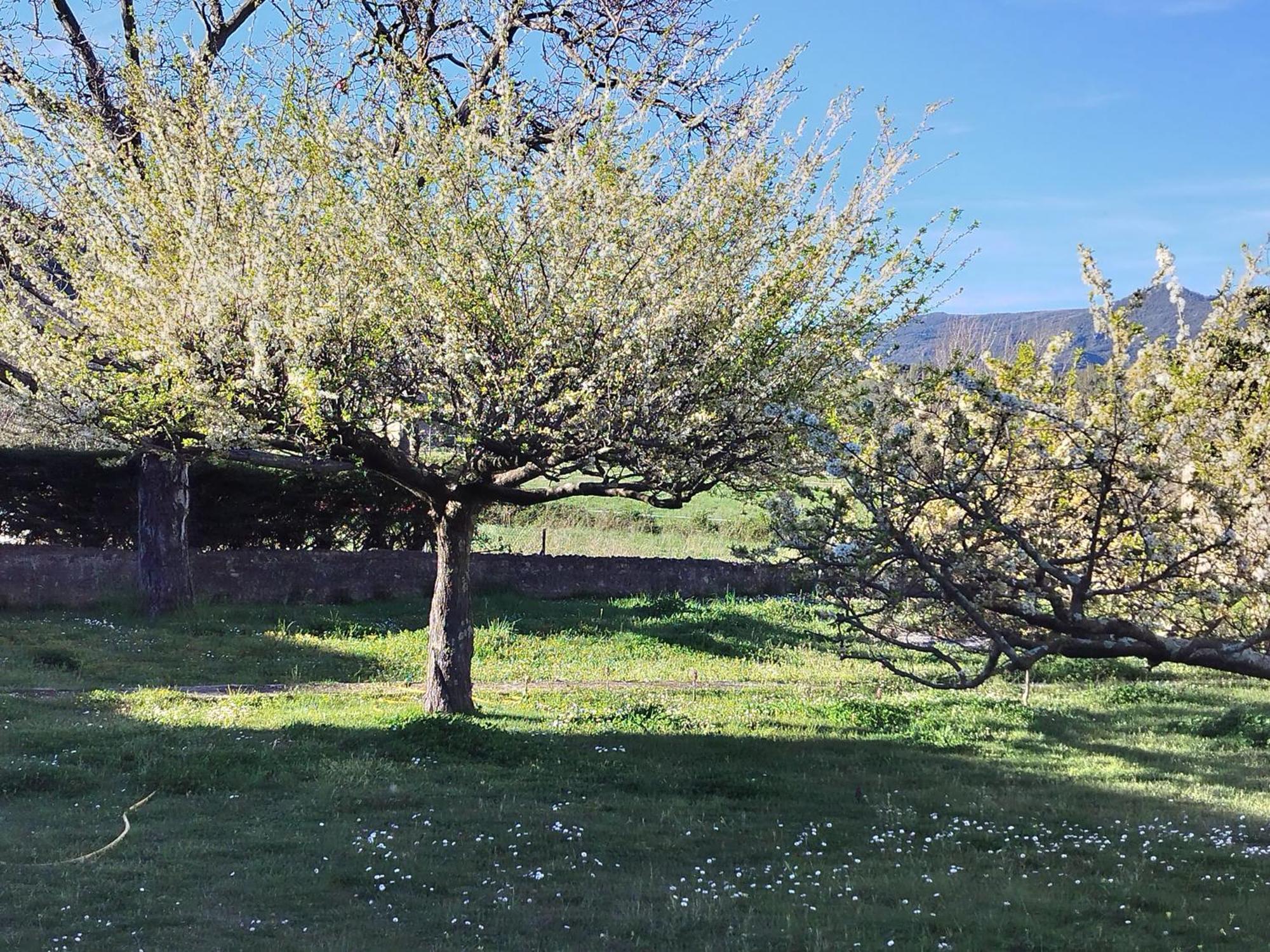 Finca Arep Alquiler Integro 6 Les Planes Les Planes d'Hostoles Exterior photo